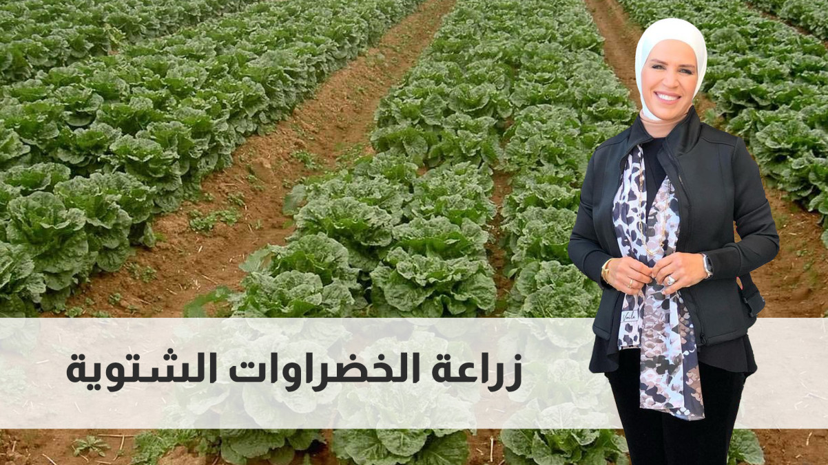 مطبخ رؤيا نصيحة سريعة زراعة الخضروات الشتوية شاهد مجانا