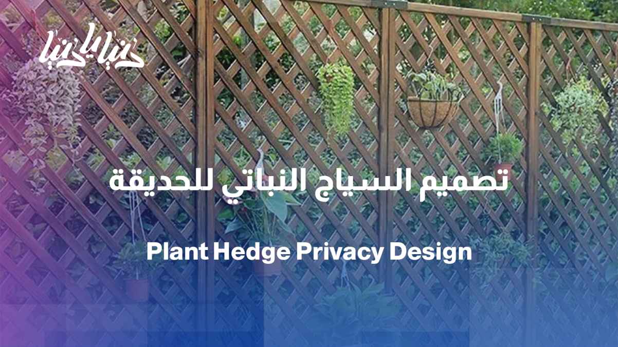 A hedge... a beautiful feature that protects the privacy of your garden.