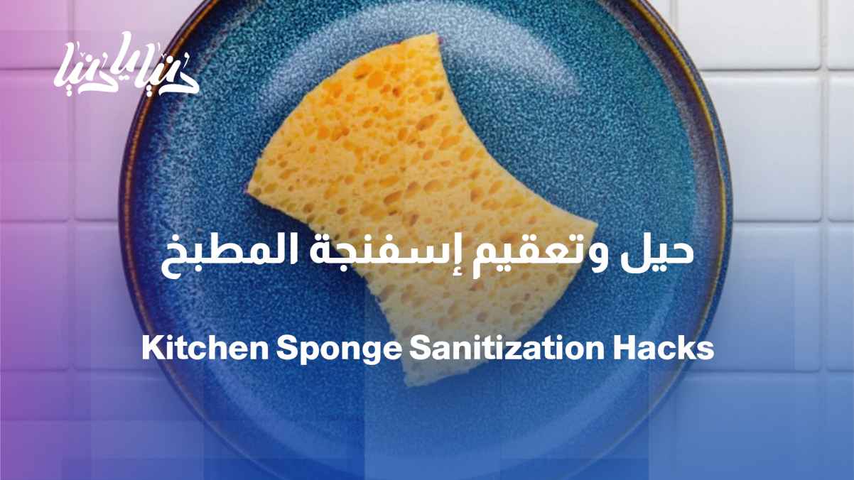 The Dish Sponge: Multiple Uses and the Proper Way to Sanitize It