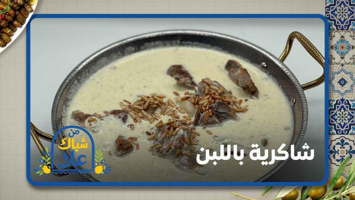 Shakriya with youghurt