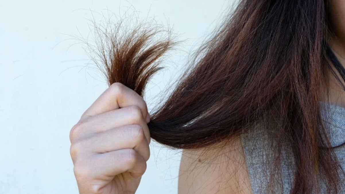 نصائح تساعدك  في علاج الشعر الجاف والمتقصف
