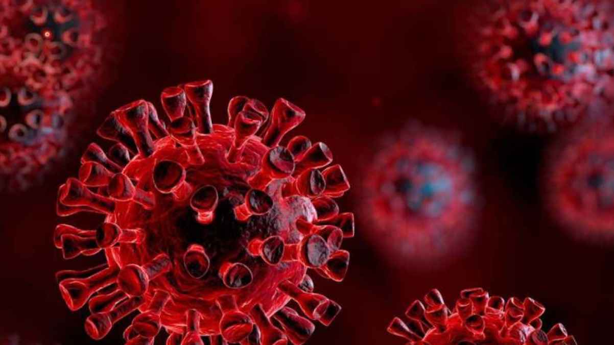 انتشار فيروس خطير في أوروبا يثير القلق.. والعلماء يحذرون - صورة