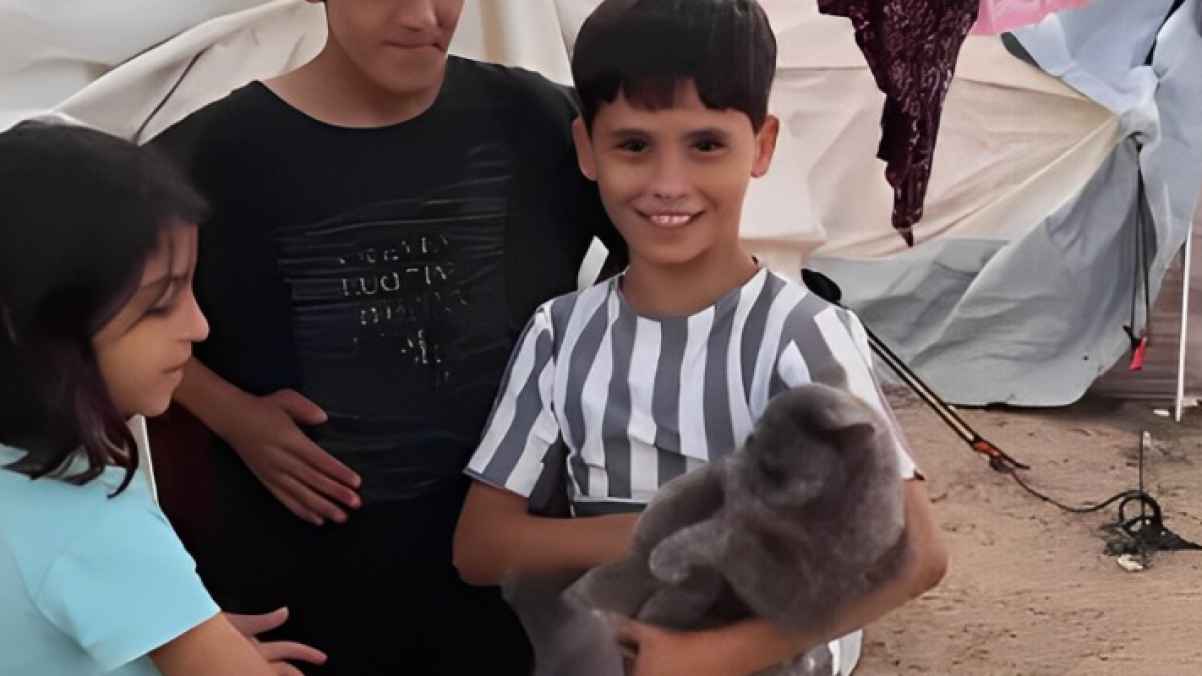 طفل فلسطيني يخاطر بحياته لإنقاذ قطته من وحشية العدوان - صورة