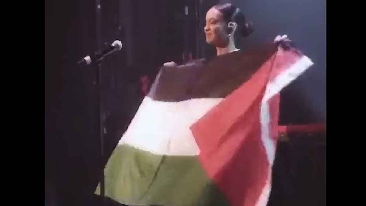 فنانة نرويجية تدعم القضية وترفع العلم الفلسطيني خلال حفلها - فيديو