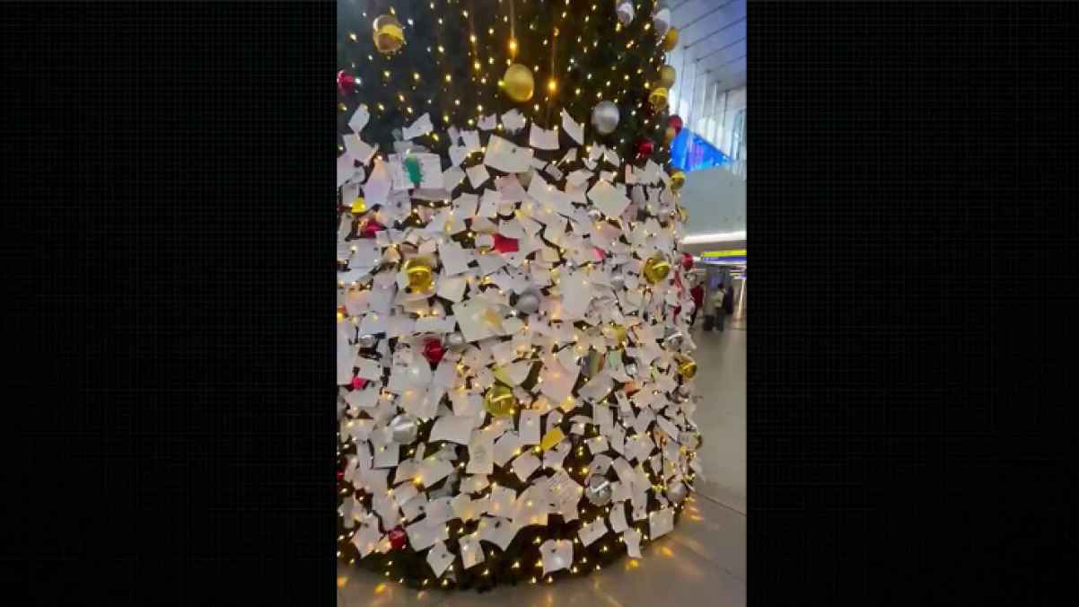 رسائل تضامنية مع القطاع تكسو شجرة عيد الميلاد في إيطاليا - فيديو