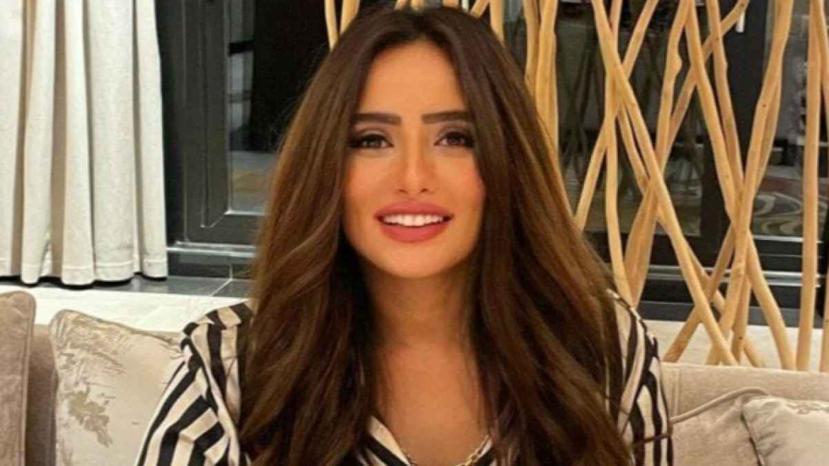 زينة تلجأ للنائب العام في أزمة هجوم كلب على طفليـها