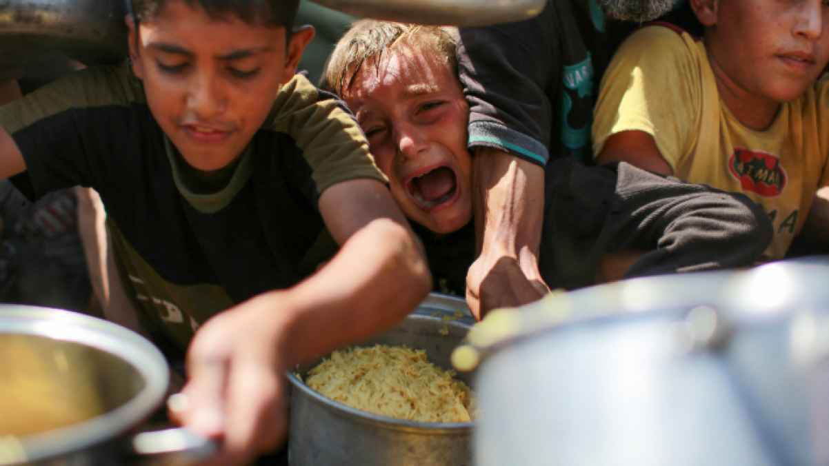لا ماء ولا ظل.. فقط شعب يواجه الموت بالصبر - صور مؤلمة