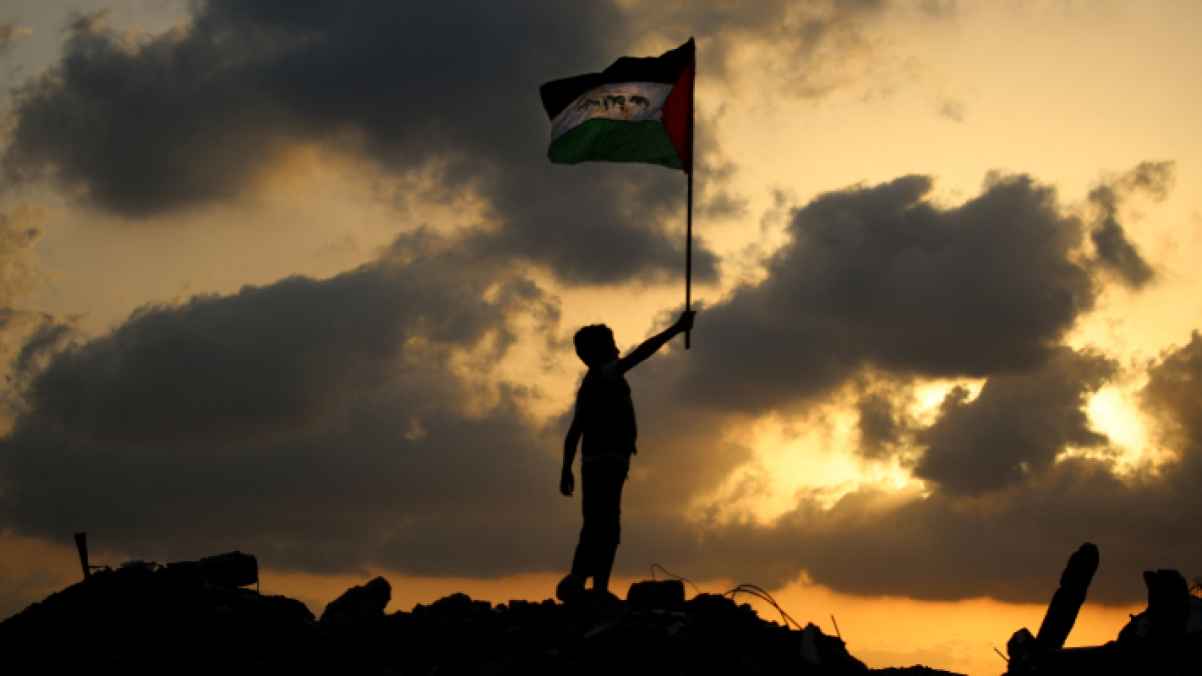 علم الشموخ  فوق الأنقاض.. حين يتحول الصغير إلى رمز