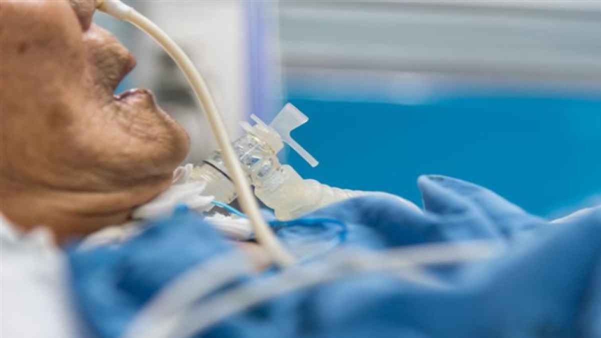 من ورود الحديقة إلى المستشفى.. حادثة مؤسفة شهدتها معان الجمعة حديث مواقع التواصل