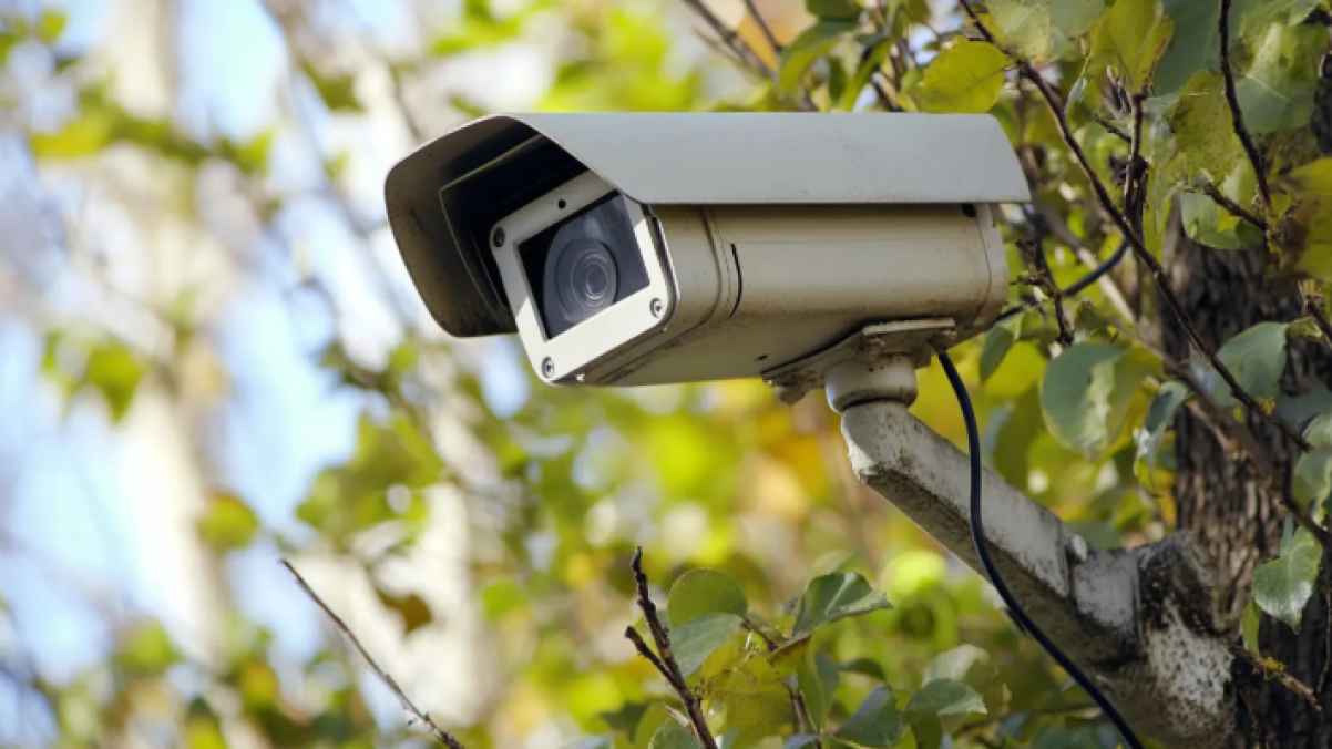 في إربد.. ارتكبوا فعلتهم والكاميرات تكشف هويتهم - فيديو