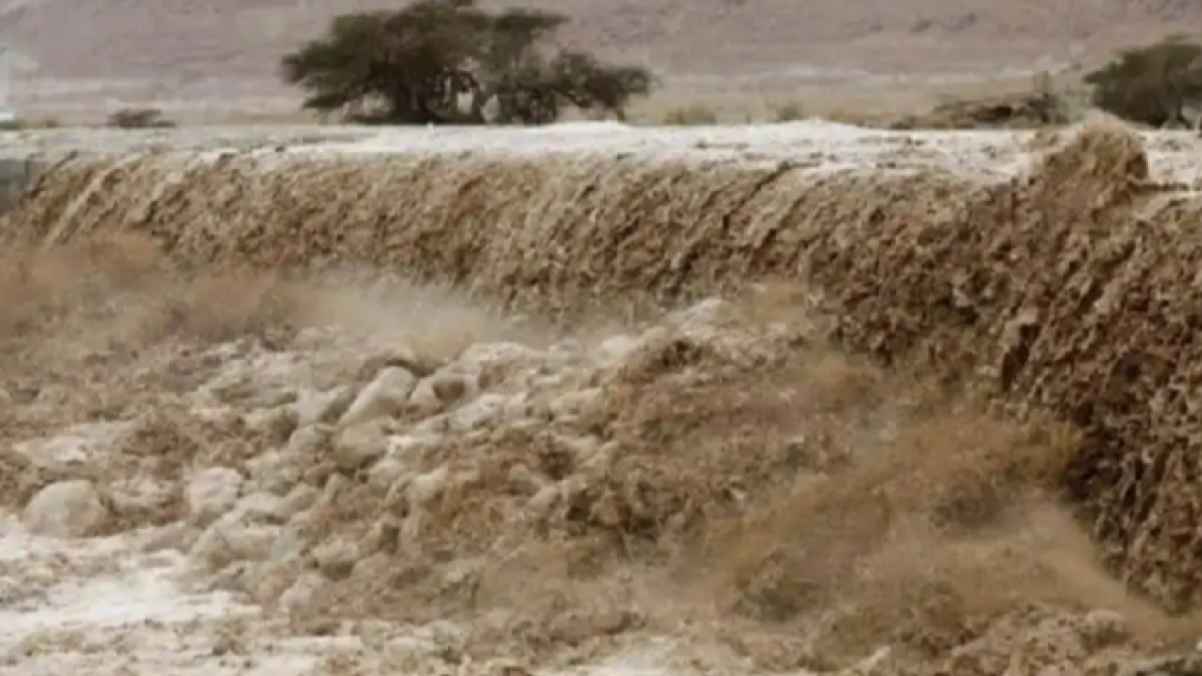 مشهد يخطف الأنفاس.. إنقاذ ثلاثة أشخاص من مجرى سيل في الطفيلة