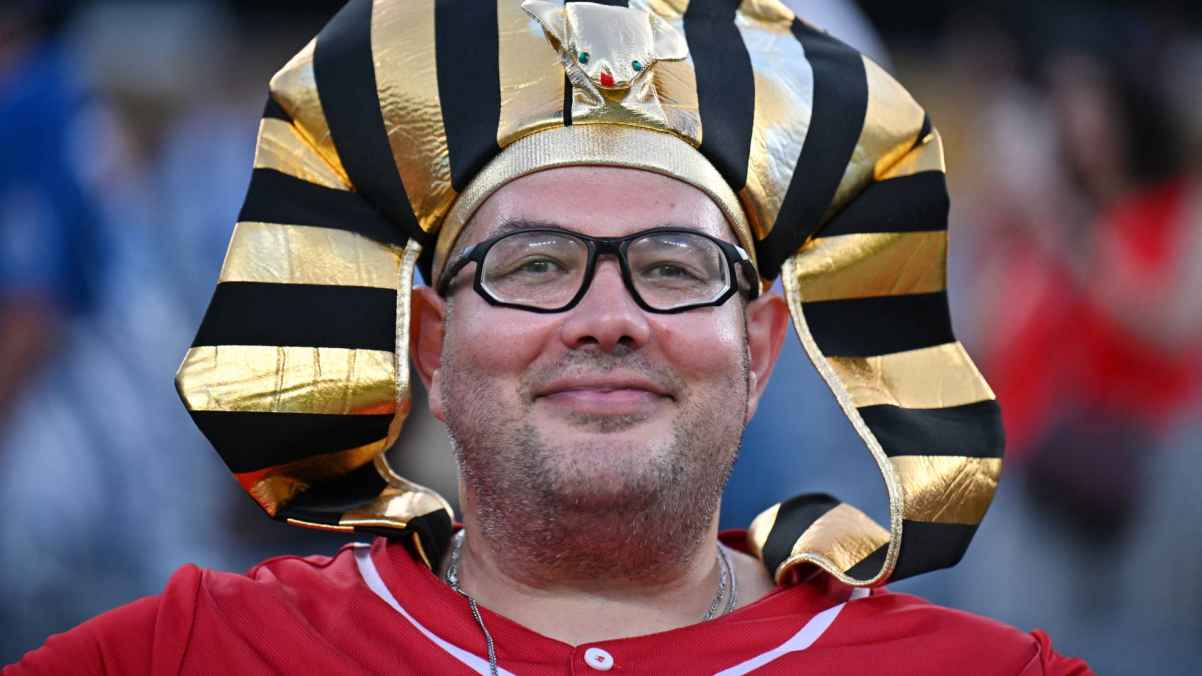 وزارة الرياضة المصرية تدرس سفر الجماهير مجانا لدعم الفراعنة