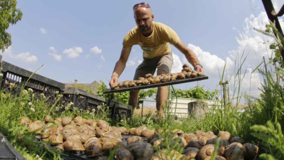 سرقة غريبة من مزرعة بقيمة 100 ألف دولار