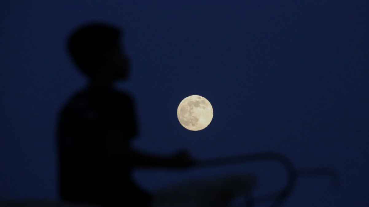 We are proud of you, Gaza… when the moon befriends the pain of the earth