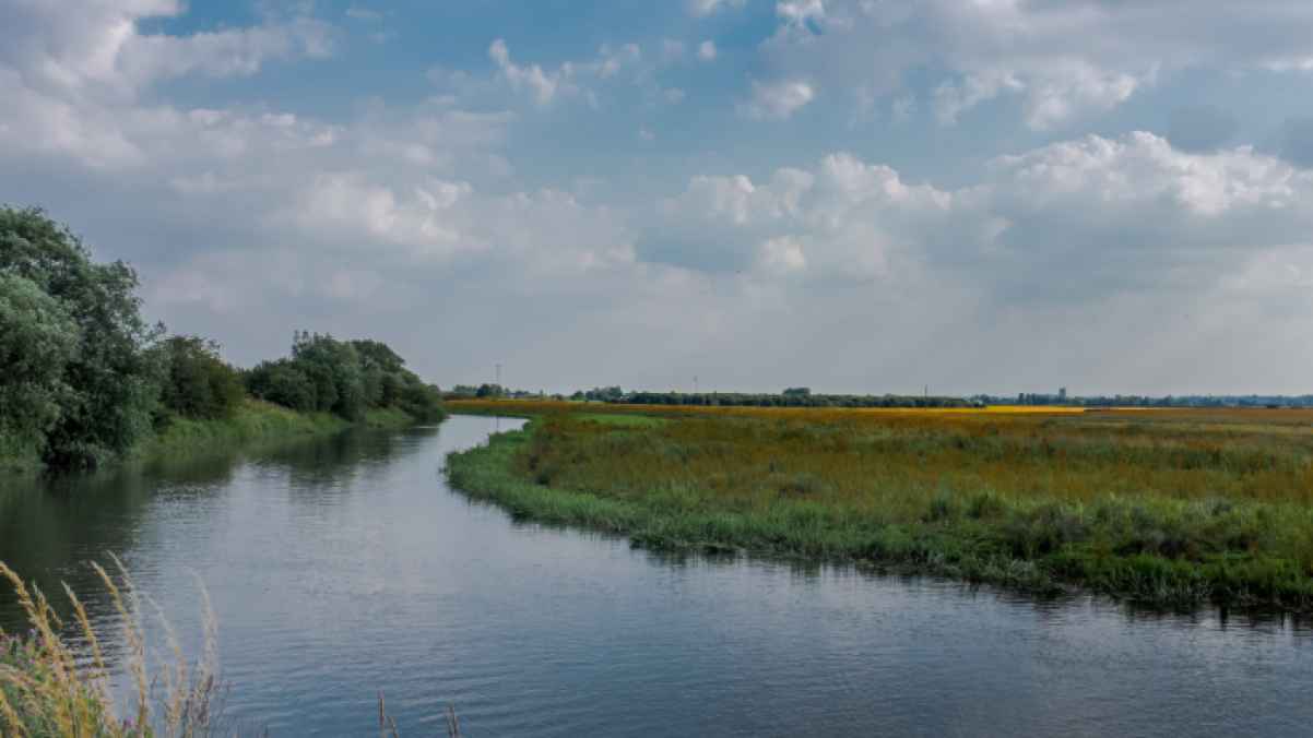 Two men go missing after fleeing into water following car collision