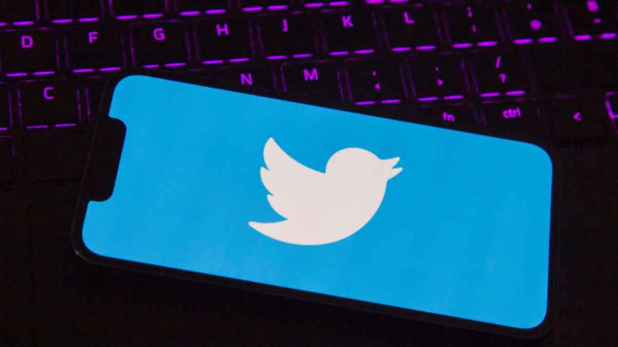 Probe into reclaiming "Twitter Bird" and its trademark