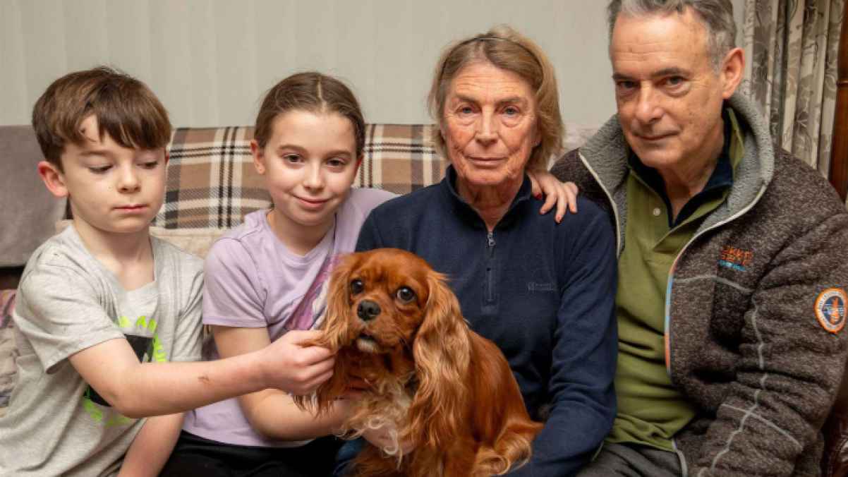 Two puppies return to their mother after being kidnapped– video