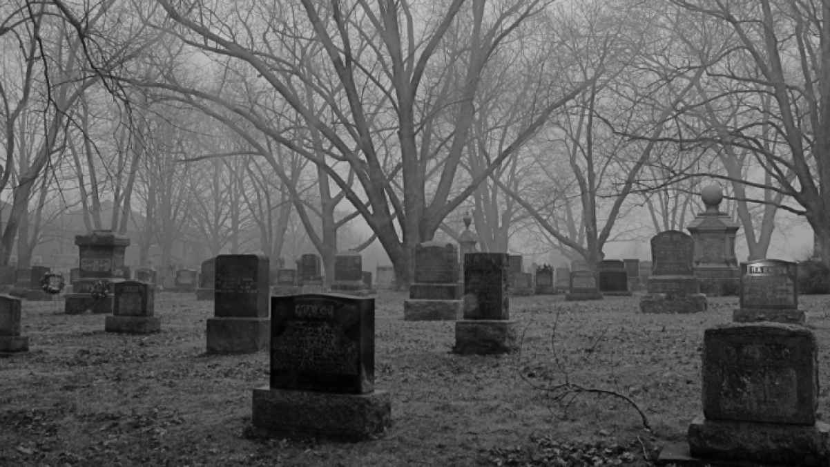 Thief arrested for stealing human remains from cemetery