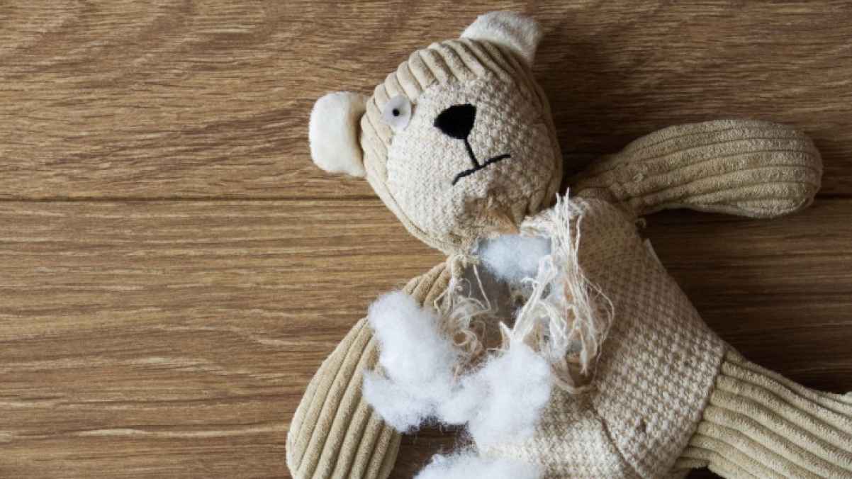 Child in Critical Condition After Damaged Heart Transplant