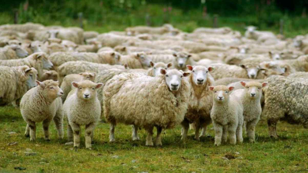 Astronomical determination of Eid al-Adha 2026 date