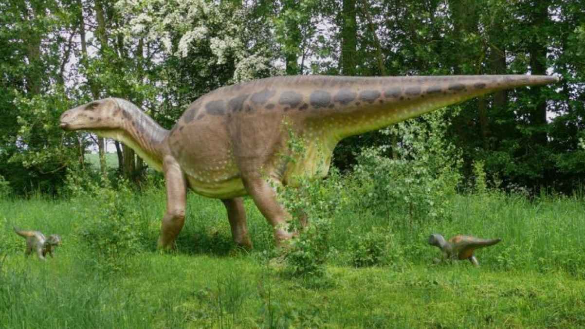 اكتشاف ديناصور عاش قبل 66 مليون سنة في المغرب
