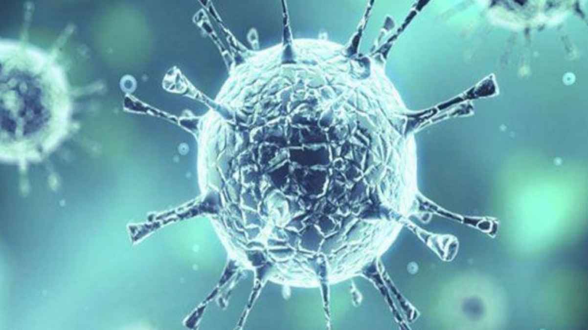 ما هي الدول التي لم يصل إليها فيروس كورونا حتى اليوم؟