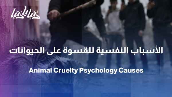 When an animal becomes a victim... where does the cruelty come from?