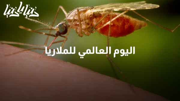 اليوم العالمي للملاريا: التحديات والجهود المبذولة في مكافحة هذا المرض