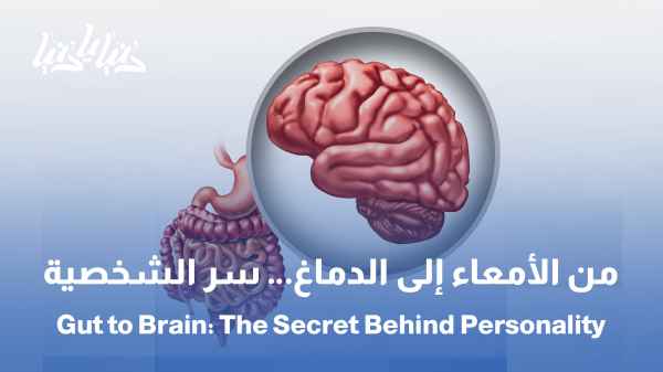 من الأمعاء إلى الدماغ: دراسة تكشف سر العلاقة بين البكتيريا والشخصية / علماء يكتشفون أن الشخصية قد تبدأ من الجهاز الهضمي!