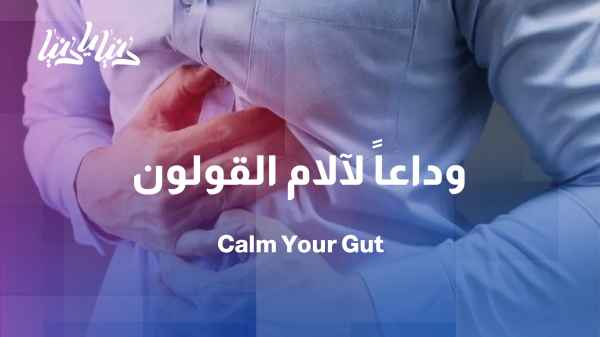 The colon, the “second brain,” and its impact on health and the body