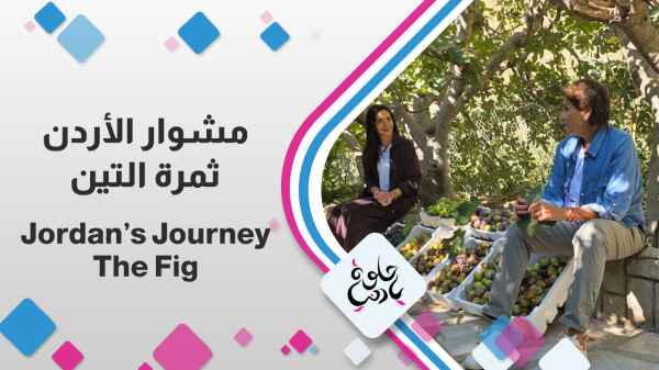The Fig