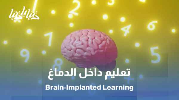 ماذا سيحدث لو أصبح التعليم عبر زراعة المعلومات مباشرة في الدماغ؟ / ماذا سيحدث لو صار العقل فلاش ميموري؟