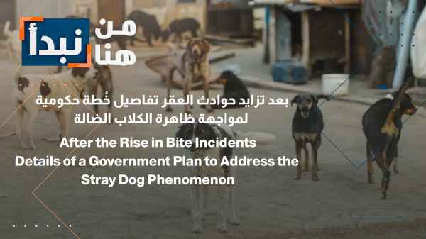 Following an increase in dog bite incidents, details emerge of a government plan to address the stray dog phenomenon.