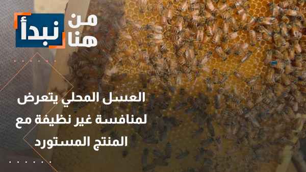 العسل المحلي يتعرض لمنافسة غير نظيفة مع المنتج المستورد