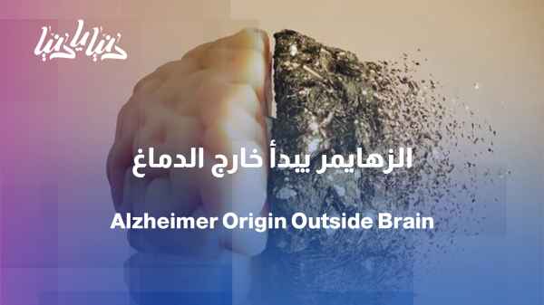 Study: Alzheimer's triggers may originate outside the brain