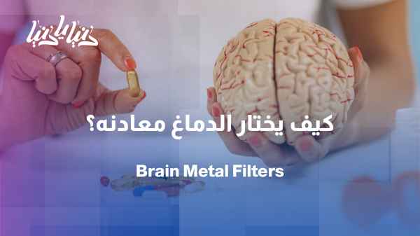A new scientific discovery reveals how the brain distinguishes between calcium and magnesium.
