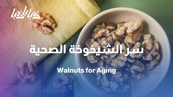 Study: Walnuts... a powerful food source that supports healthy aging