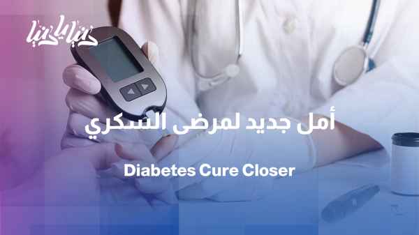 Promising medical breakthrough: Insulin-producing cells live longer inside the body