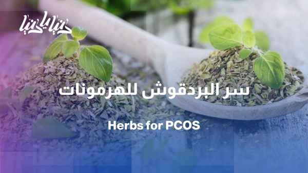 Attar Pharmacy: Irregular periods and polycystic ovaries - is the solution in herbs?