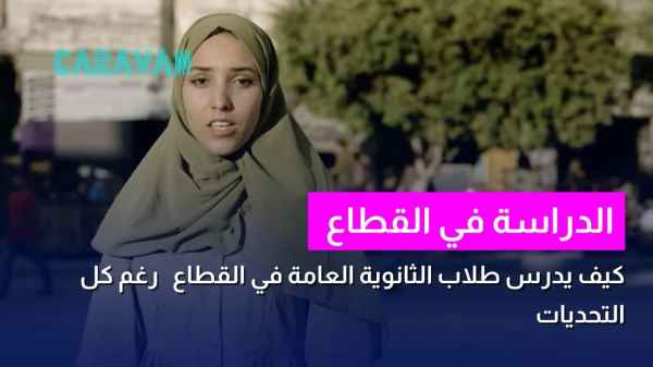الدراسة في القطاع