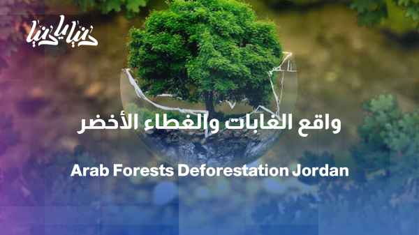Arab forests are shrinking... What remains of the green cover?