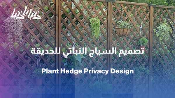 A hedge... a beautiful feature that protects the privacy of your garden.