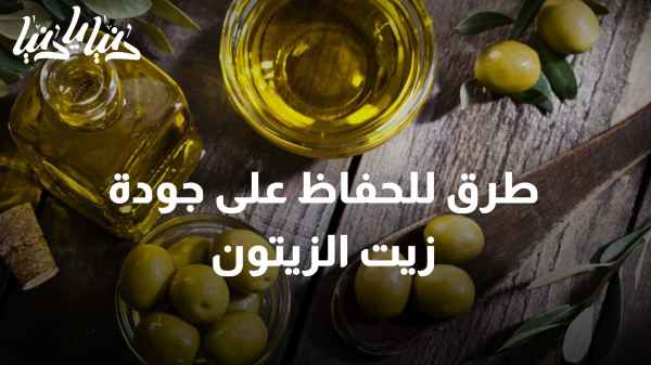 طرق فعالة للحفاظ على جودة زيت الزيتون بعد القطاف