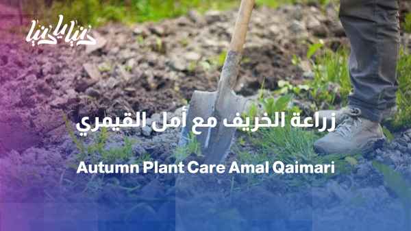 Autumn and winter... a different season for plant care