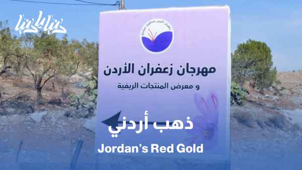 مهرجان الزعفران الثاني: نافذة للمزارعين على فرص استثمارية واعدة