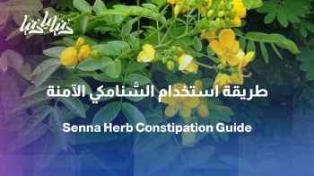 صورة من موقع رؤيا