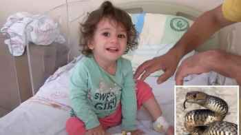 طفلة تركية تنتقم من أفعى سامة وتقتلها بأسنانها