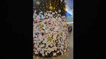 رسائل تضامنية مع القطاع تكسو شجرة عيد الميلاد في إيطاليا - فيديو