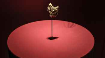 اعتقال امرأة صينية بعد سرقة ذهب متحف التاريخ الطبيعي في باريس