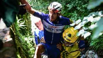 درّاج فرنسي يسقط في وادٍ وينجو بعد ثلاثة أيام من العزلة